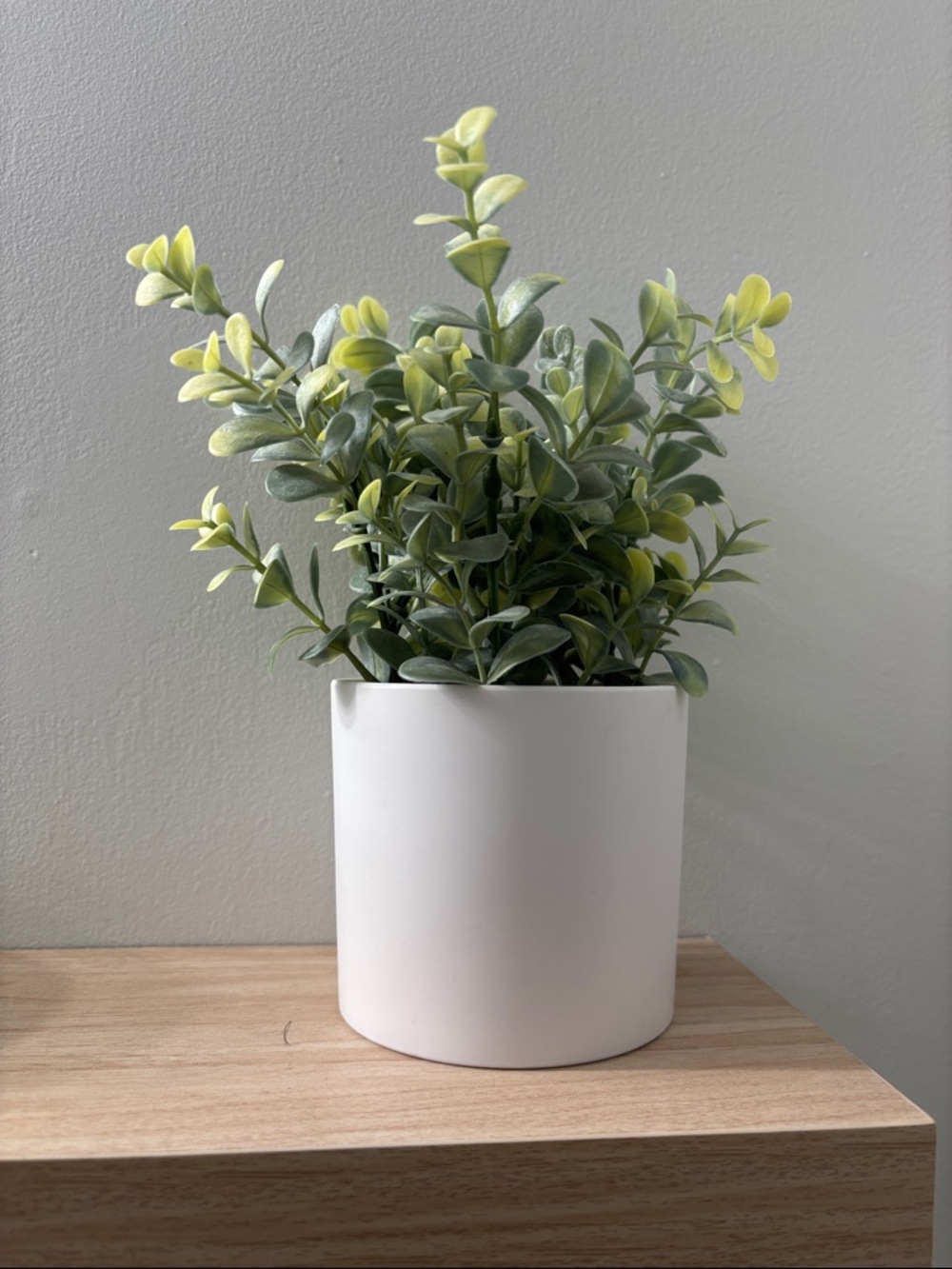 NWOT Faux Potted Plant